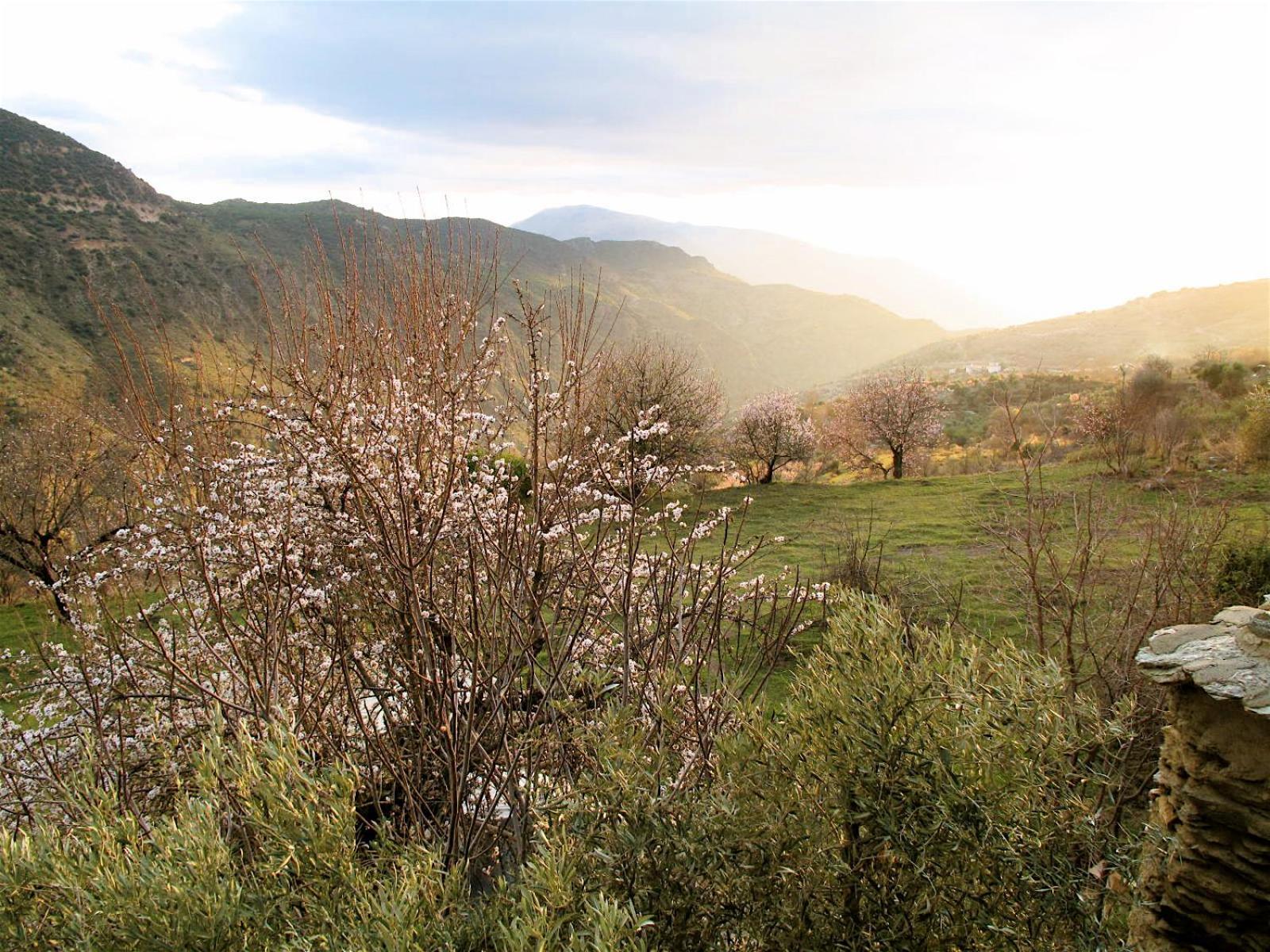 Rural House, Heated Pool & Steam Room, Casa Aloe. Atalbeitar 外观 照片