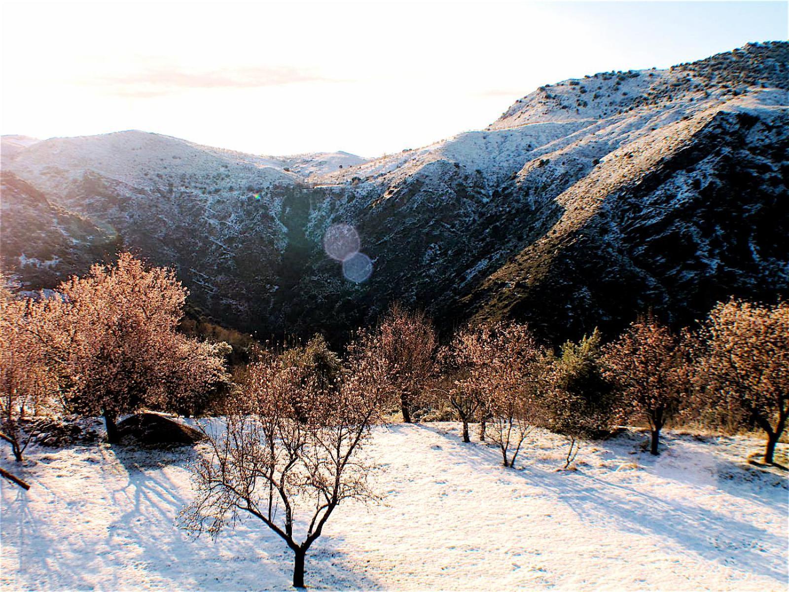 Rural House, Heated Pool & Steam Room, Casa Aloe. Atalbeitar 外观 照片