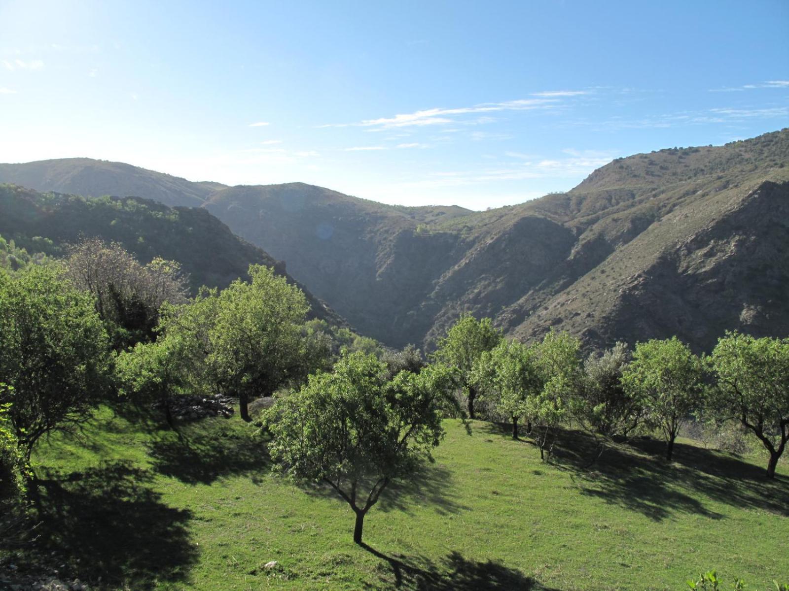 Rural House, Heated Pool & Steam Room, Casa Aloe. Atalbeitar 外观 照片