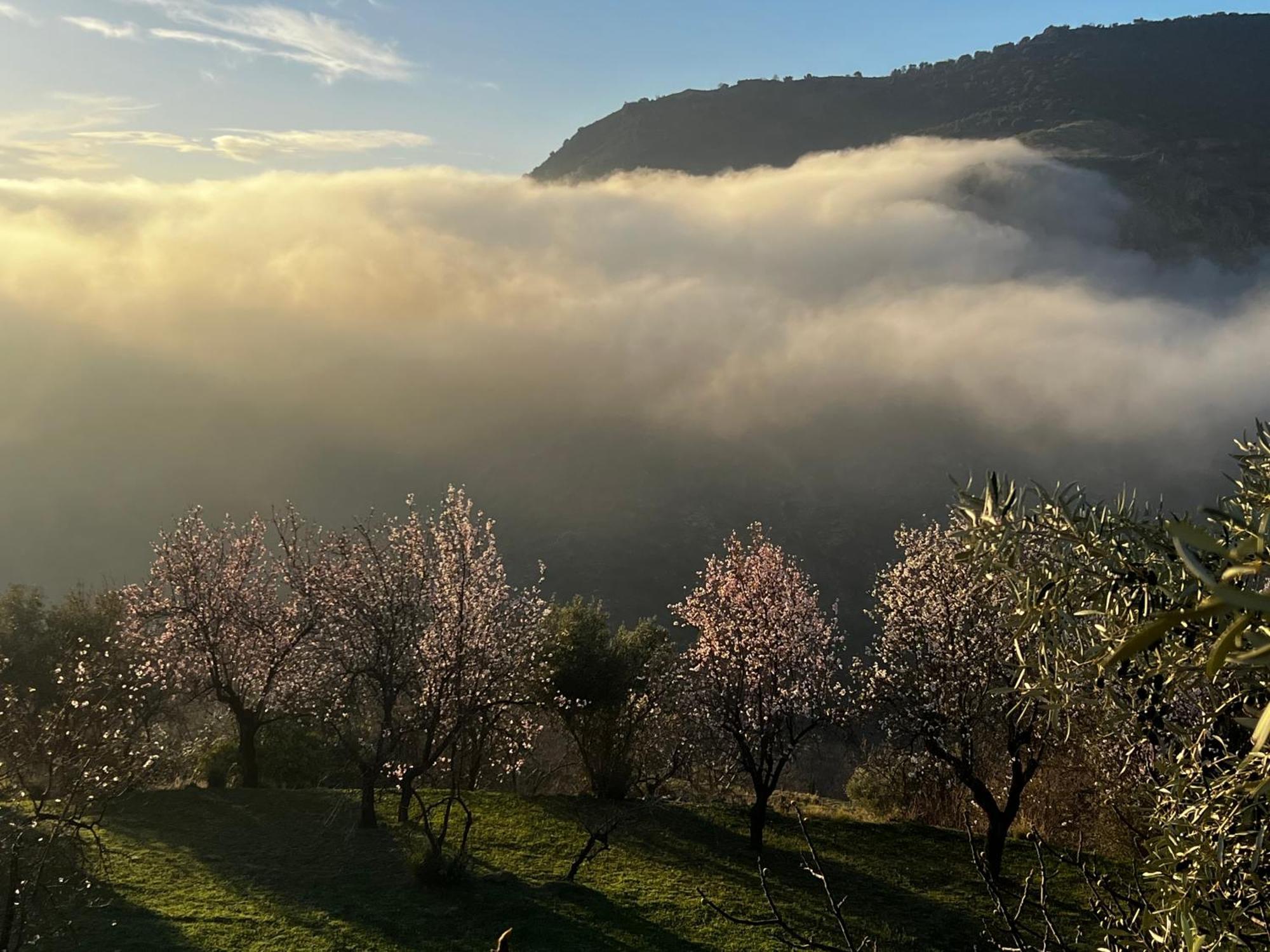 Rural House, Heated Pool & Steam Room, Casa Aloe. Atalbeitar 外观 照片
